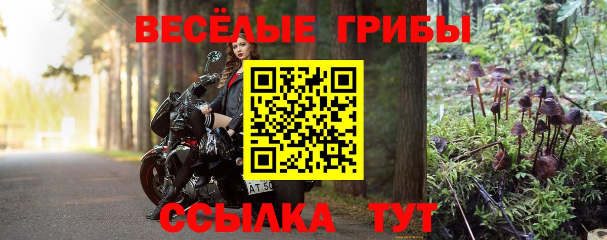 даркнет сайт  Вход с VPN  Галлюциногенные грибы Psilocybine cubensis  Железноводск  Галлюциногенные грибы ЛСД 